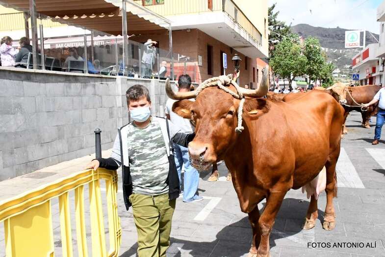 Momento de la Feria de Ganado/Antonio Alí.